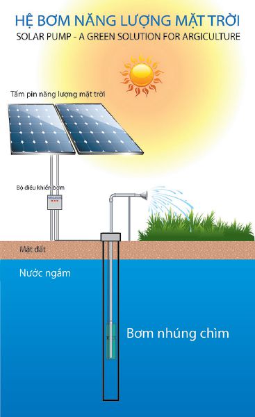 Hệ thống máy bơm nước sử dụng điện năng lượng mặt trời